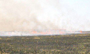 Noi incendii de vegetaţie în judeţul Constanţa